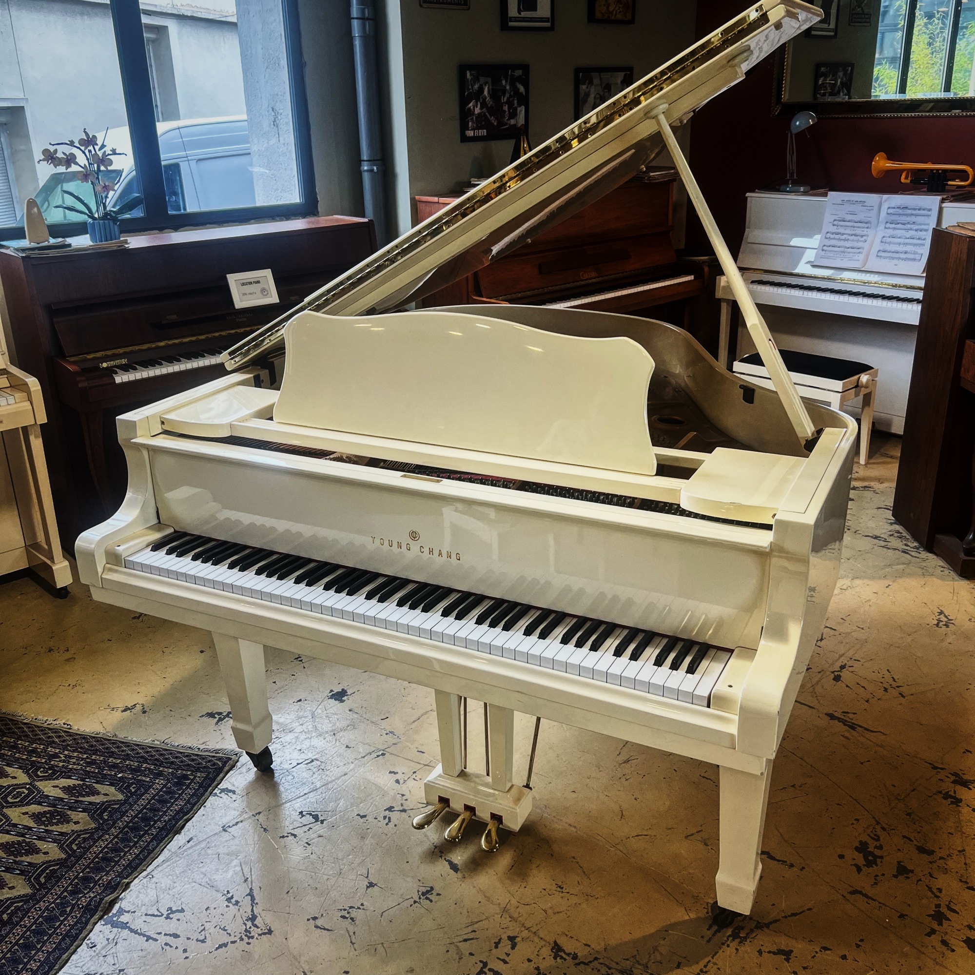 Piano à queue Young Chang G157 crème d’occasion en showroom à Caen